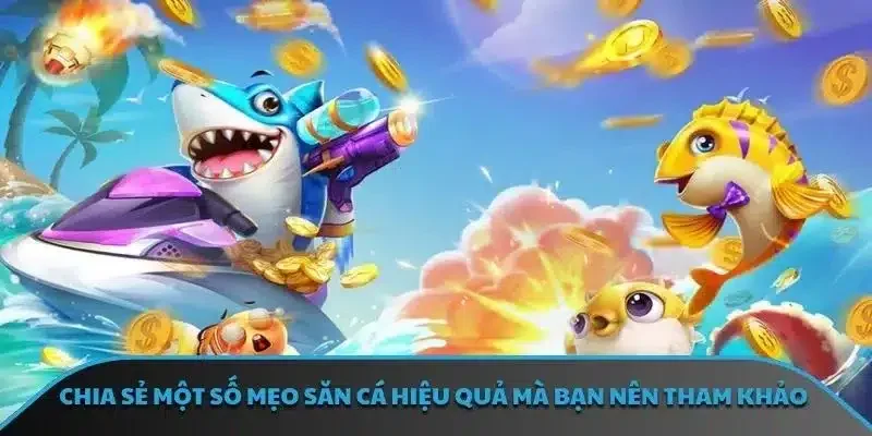 Chia sẻ một số mẹo săn cá hiệu quả mà bạn nên tham khảo