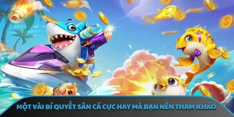 Một vài bí quyết săn cá cực hay mà bạn nên tham khảo