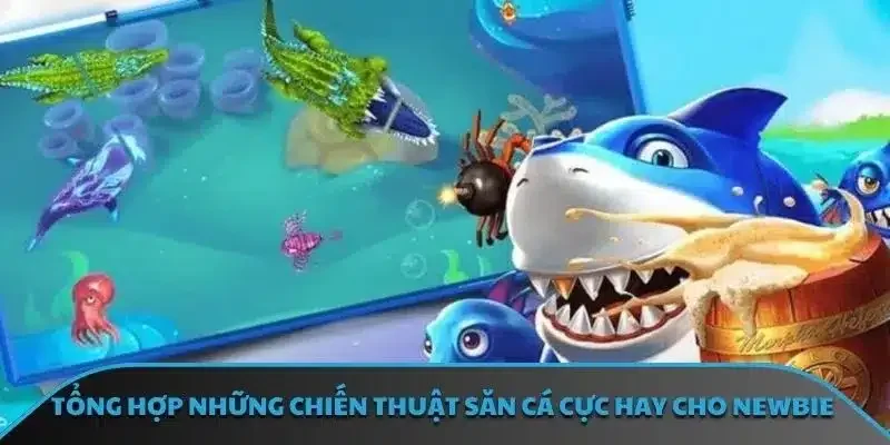 Tổng hợp những chiến thuật săn cá cực hay cho newbie