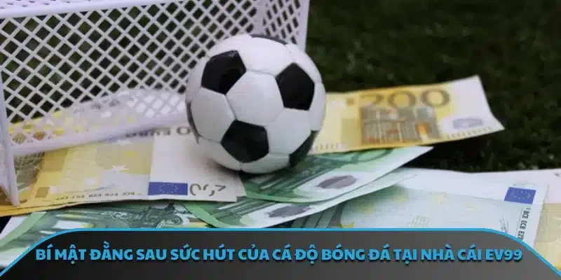 Cá độ bóng đá