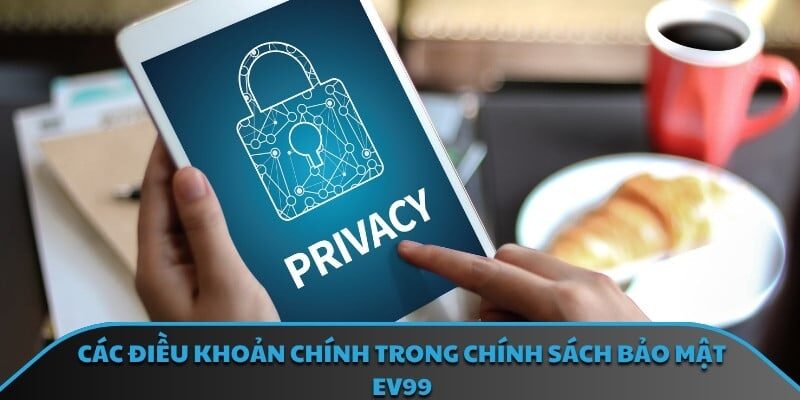 Các điều khoản chính trong chính sách bảo mật EV99