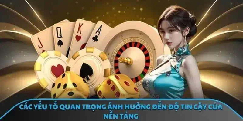 Các yếu tố quan trọng ảnh hưởng đến độ tin cậy của nền tảng