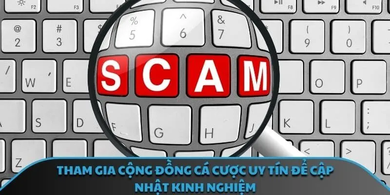 Tham gia cộng đồng cá cược uy tín để cập nhật kinh nghiệm