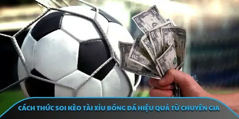 Cách thức soi kèo tài xỉu bóng đá hiệu quả từ chuyên gia
