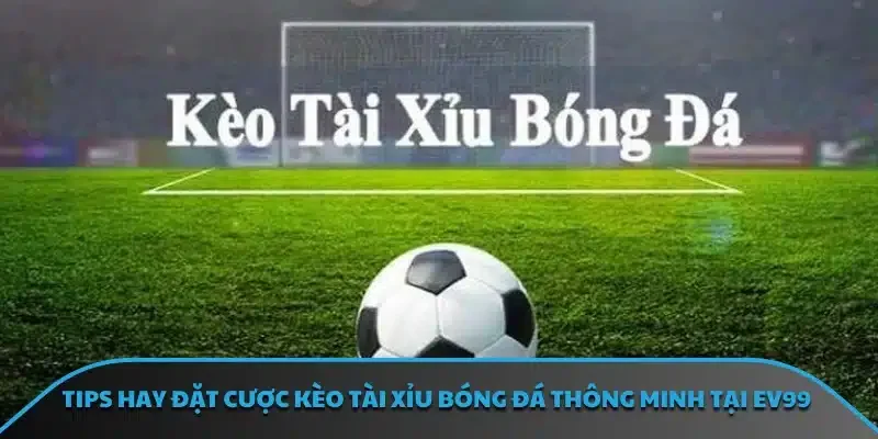 Tips hay đặt cược kèo tài xỉu bóng đá thông minh tại EV99