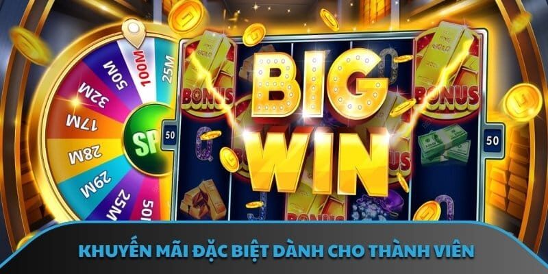 Khuyến mãi đặc biệt dành cho thành viên