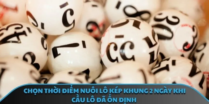 Chọn thời điểm nuôi lô kép khung 2 ngày khi cầu lô đã ổn định