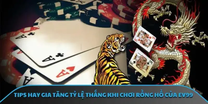 Tips hay gia tăng tỷ lệ thắng khi chơi rồng hổ của EV99