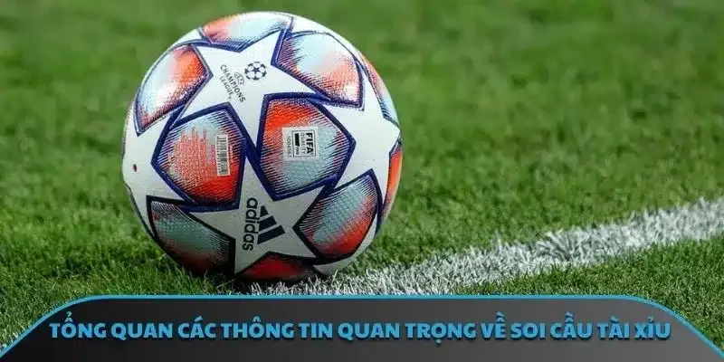 Tổng quan các thông tin quan trọng về soi cầu tài xỉu